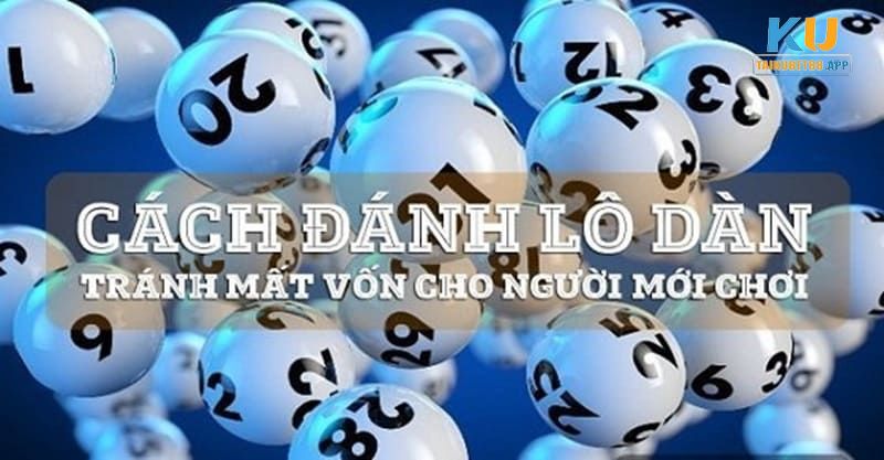 Cách đổ tiền nuôi dàn đề hiệu quả